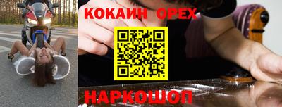 тгк Кингисепп