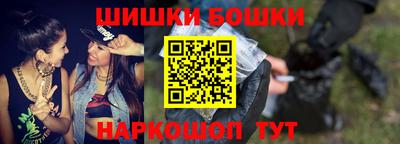 тгк Кингисепп