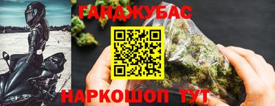 тгк Кингисепп