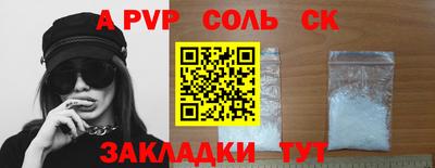 тгк Кингисепп
