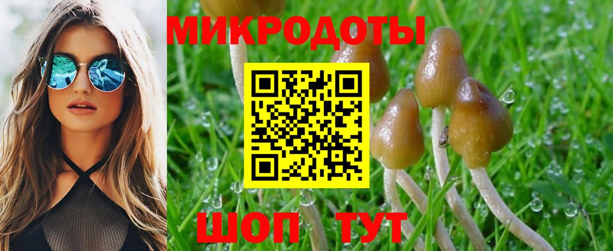 Галлюциногенные грибы Psilocybe  Вход с VPN  Псилоцибиновые грибы мухоморы  Красный Сулин 